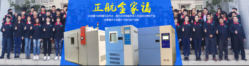 正航全體精英合照